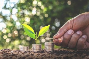 Hand giving a coin to a tree growing from pile In coin Money. Financial accounting, Investment Concept. Hand giving a coin to a tree growing from pile In coin Money. Financial accounting, Investment Concept.