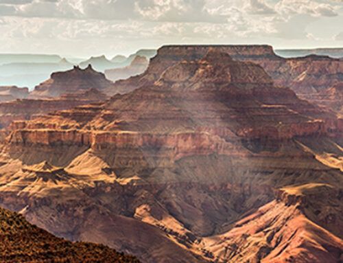 Grand Canyon Adventures